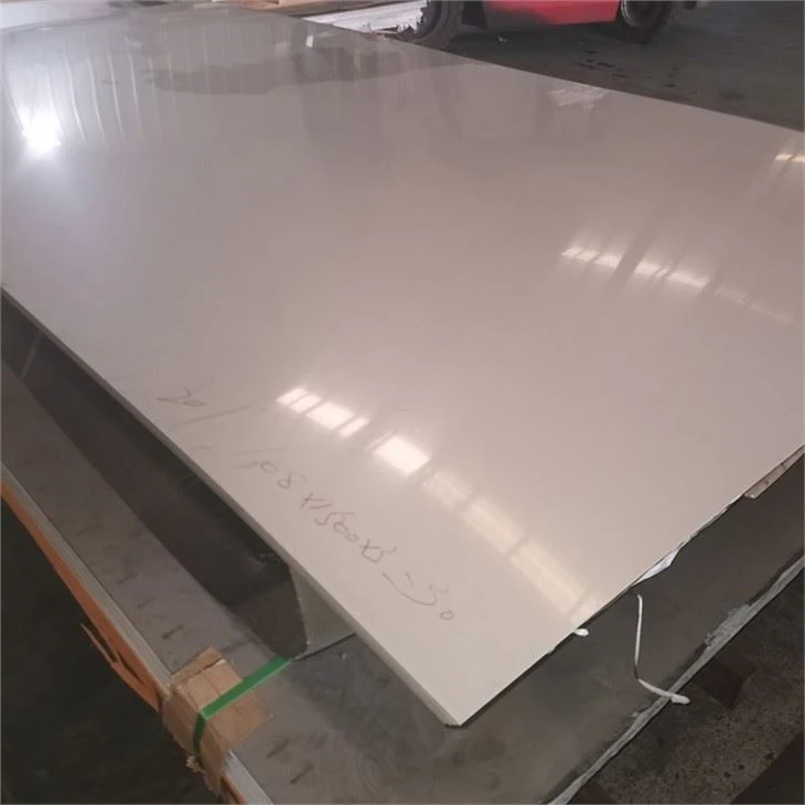 CNS 310S Stainless Steel Plate